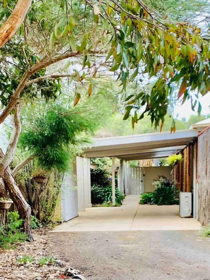 Marengo Beach Studios- Pet Friendly Ngoại thất bức ảnh