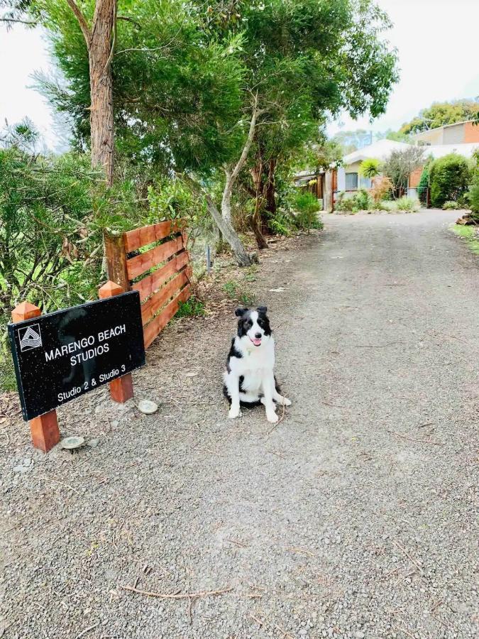 Marengo Beach Studios- Pet Friendly Ngoại thất bức ảnh
